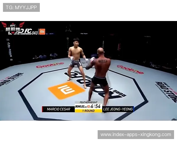 MMA地面过渡技巧成高水平分水岭