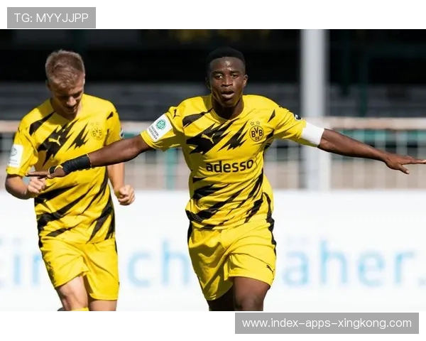 多特蒙德确立青年优先战略，荷德合作迎来新机遇